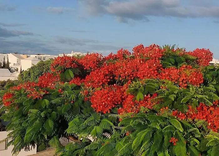 Loma Green